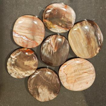Preview: Versteinertes Holz flach